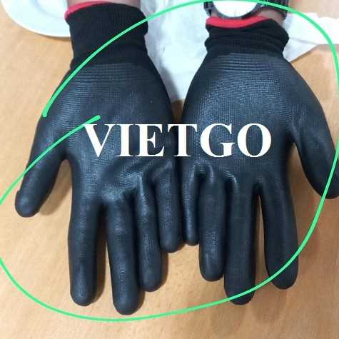 Cơ hội xuất khẩu găng tay lao động sang thị trường UAE