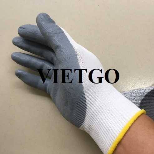 Cơ hội xuất khẩu găng tay lao động sang thị trường Ba Lan 