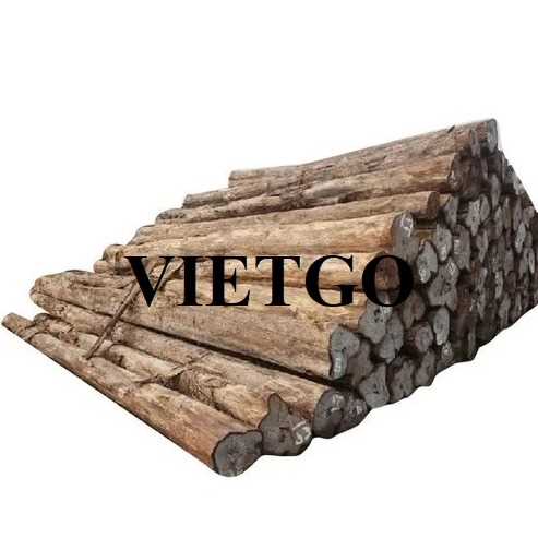 Thương vụ xuất khẩu gỗ teak tròn sang thị trường Pakistan