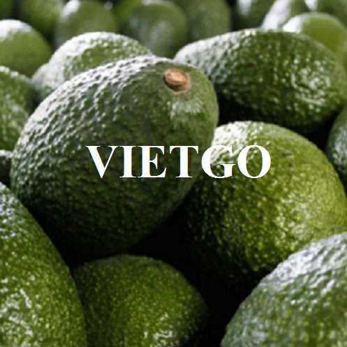 Cơ hội hợp tác xuất khẩu bơ đến thị trường UAE