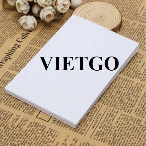 Thương vụ xuất khẩu sản phẩm giấy A4 đến thị trường Hy Lạp