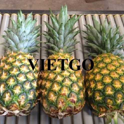 Cơ hội hợp tác xuất khẩu dứa đến thị trường UAE