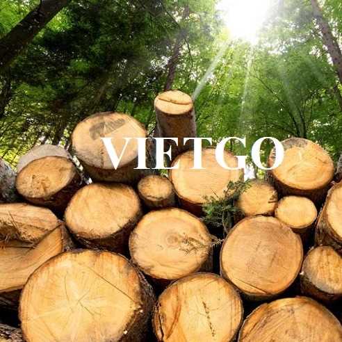 Thương vụ xuất khẩu gỗ thông tròn sang thị trường Trung Quốc