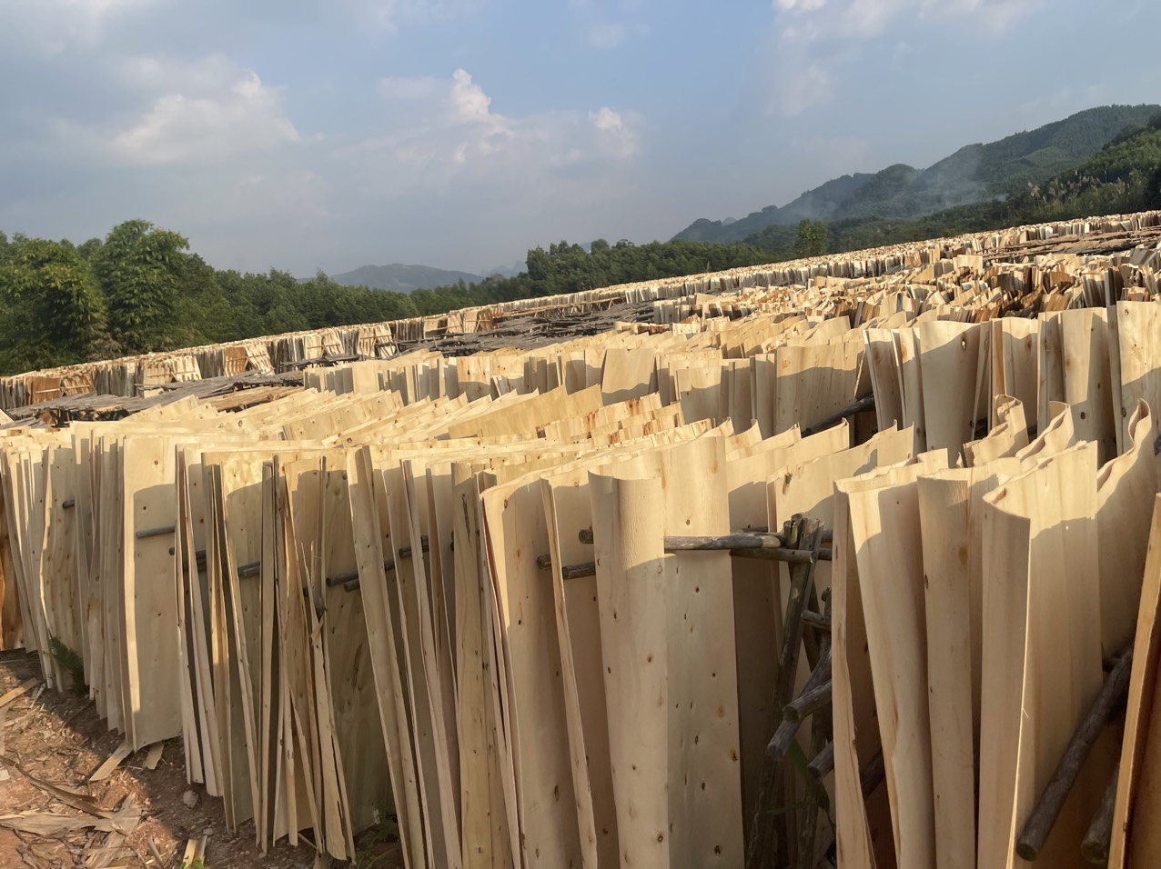 Cần tìm đơn vị vận tải vận chuyển hàng ván bóc đi Ấn Độ