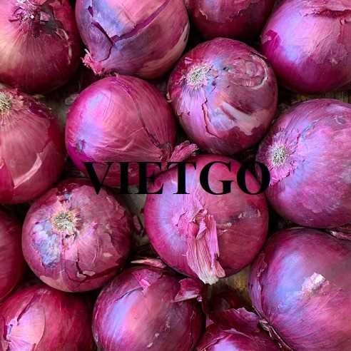 Cơ hội xuất khẩu hành tới thị trường Guatemala
