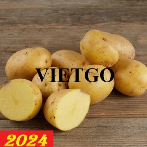 Cơ hội hợp tác xuất khẩu khoai tây đến thị trường Slovenia
