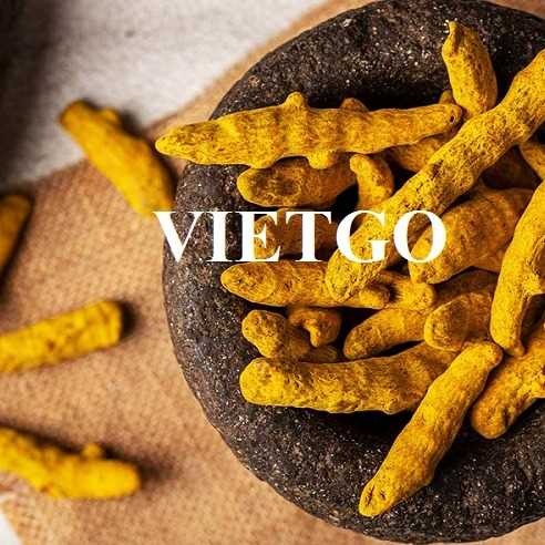 Cơ hội xuất khẩu nghệ khô đến thị trường Ấn Độ