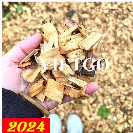 Cơ hội hợp tác xuất khẩu gỗ vụn tới thị trường Đài Loan