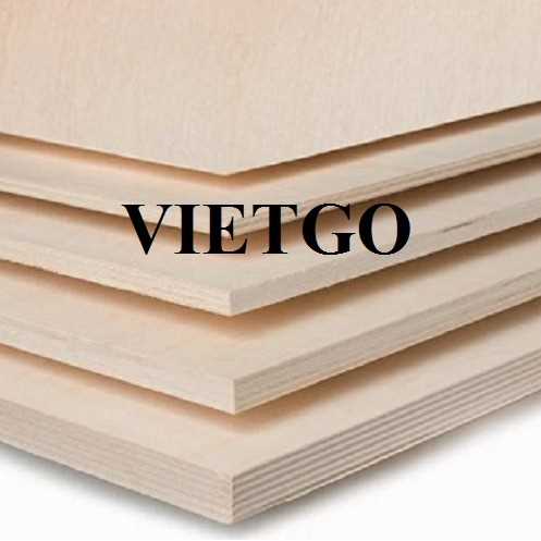 Thương vụ xuất khẩu gỗ dán sang thị trường Ấn Độ
