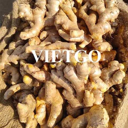 Cơ hội hợp tác xuất khẩu gừng đến thị trường Mỹ