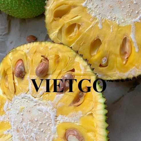 Thương vụ xuất khẩu mít sang thị trường Trung Quốc