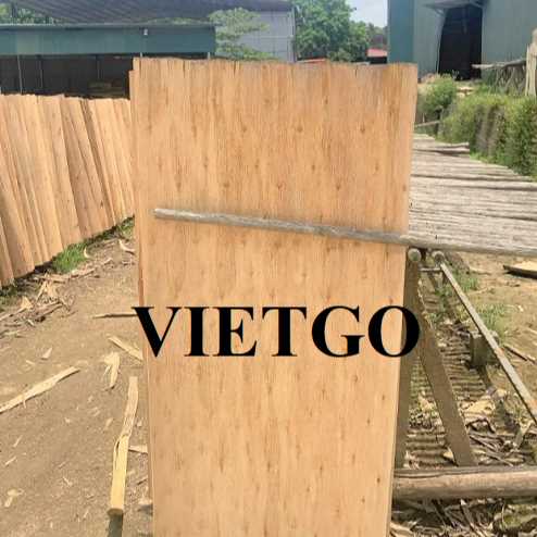 Thương vụ xuất khẩu ván bóc sang thị trường Đài Loan