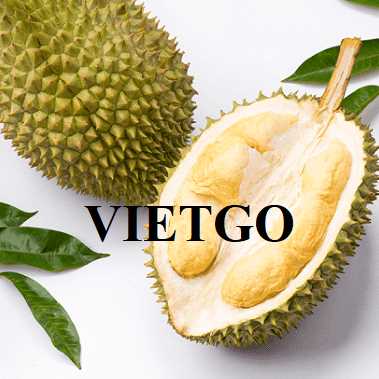 Thương vụ xuất khẩu sầu riêng ri6 và monthong sang thị trường Trung Quốc
