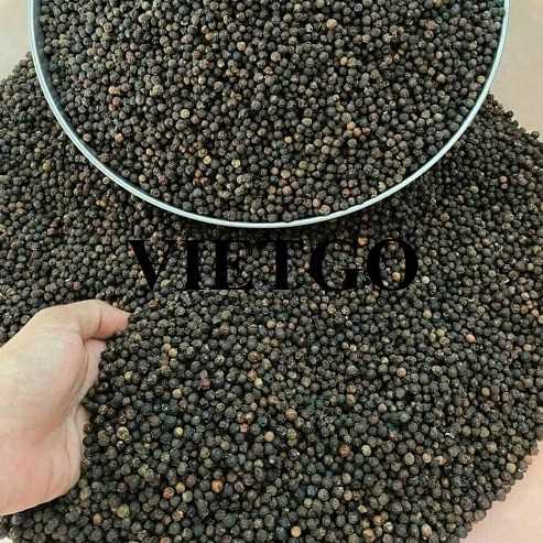 Cơ hội xuất khẩu hạt tiêu đen sang thị trường Sri Lanka