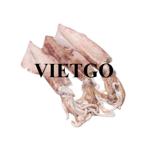 Cơ hội xuất khẩu mực ống sang thị trường Hàn Quốc