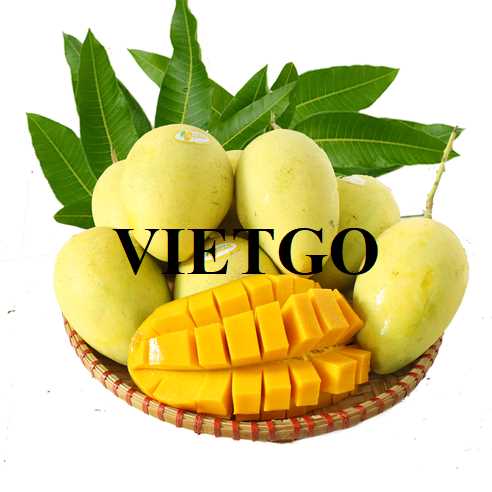 Cơ hội hợp tác xuất khẩu xoài sang thị trường Iraq