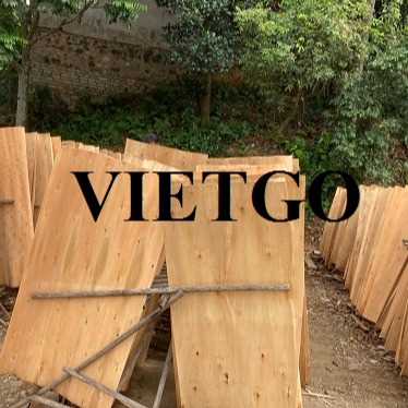 Thương vụ xuất khẩu sản phẩm ván bóc đến thị trường Ấn Độ