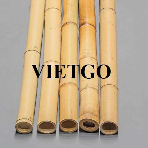 Cơ hội xuất khẩu gậy tre sang thị trường UAE