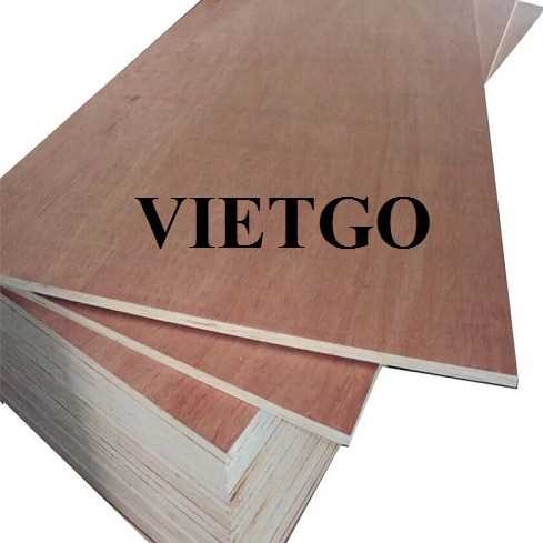Thương vụ xuất khẩu gỗ dán sang thị trường Ấn Độ