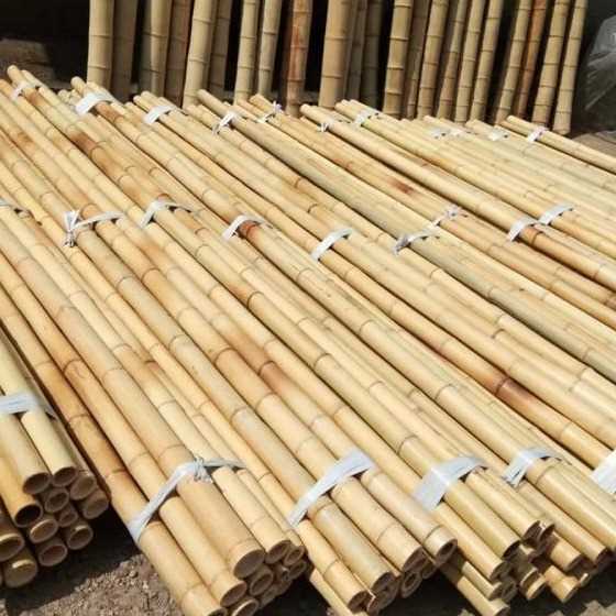i need Bamboo poles