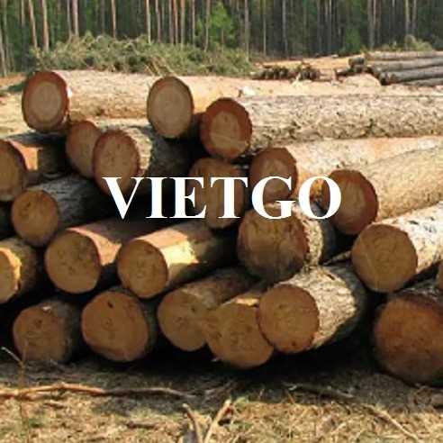 Thương vụ xuất khẩu gỗ thông sang thị trường Mỹ, Hàn Quốc và Trung Quốc