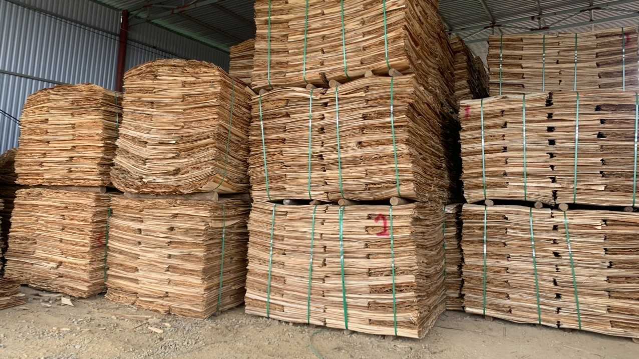 Cần tìm đơn vị vận tải sản phẩm Ván bóc sang thị trường Ấn Độ