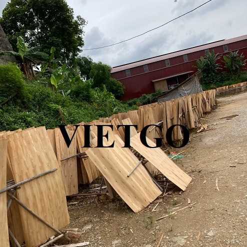 Thương vụ xuất khẩu sản phẩm ván bóc đến thị trường Ấn Độ