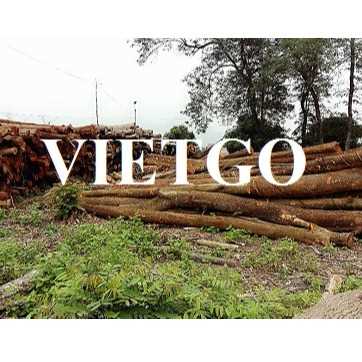 Thương vụ xuất khẩu gỗ keo đến thị trường Ấn Độ 