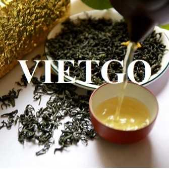 Thương vụ xuất khẩu chè xanh sang thị trường Afghanistan