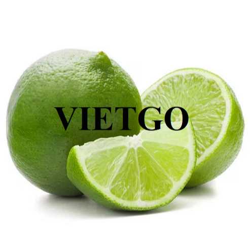 Thương vụ hợp tác xuất khẩu chanh xanh không hạt sang thị trường Maldives