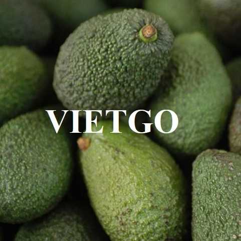 Cơ hội xuất khẩu bơ sang thị trường Oman