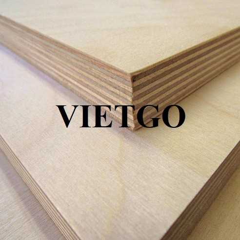 Thương vụ xuất khẩu gỗ dán đến thị trường Ấn Độ 