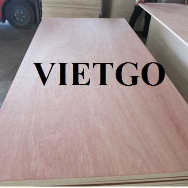 Thương vụ xuất khẩu gỗ dán sang thị trường Ba Lan