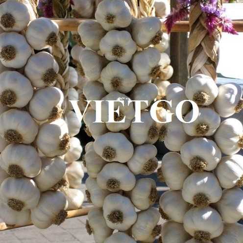 Cơ hội xuất khẩu tỏi trắng đến thị trường Ấn Độ