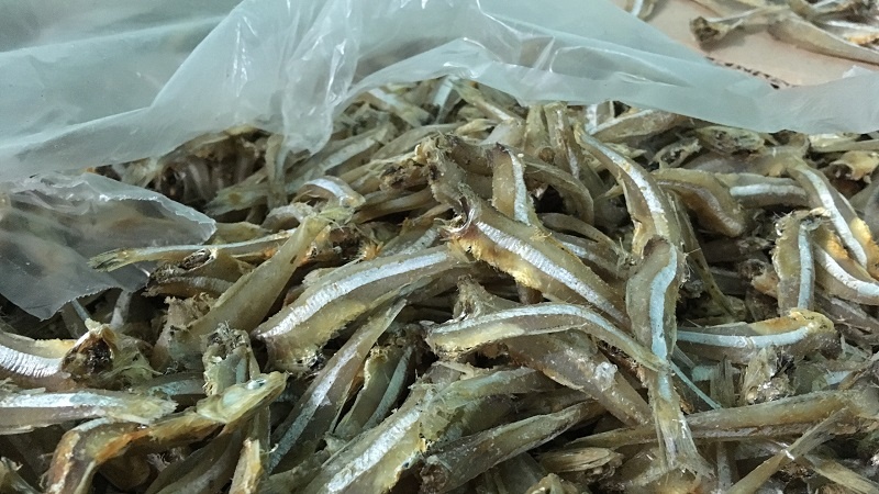 Cần tìm đơn vị vận tải vận chuyển mặt hàng  cá cơm khô đi Sri Lanka