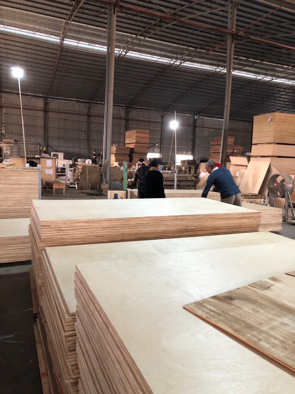Cần tìm nhà vận chuyển hàng Gỗ dán đi Ba Lan