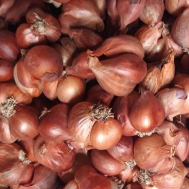 Cần tìm đơn vị vận tải vận chuyển sản phẩm Hành,Tỏi đi Bahrain