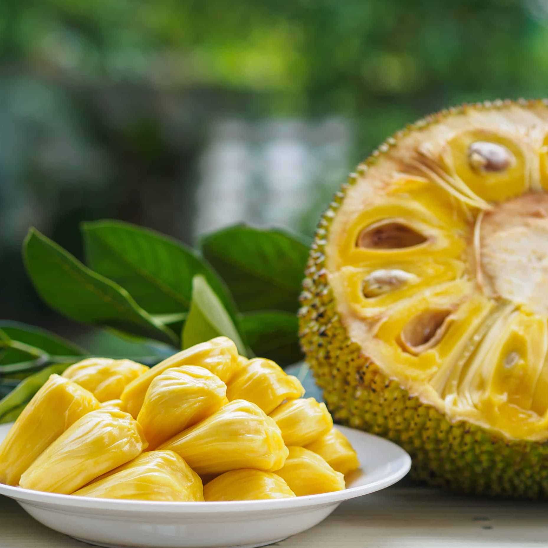 i'm looking for Jackfruits