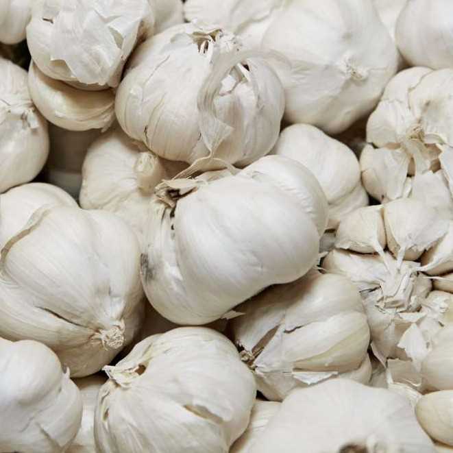 i want to buy Garlic