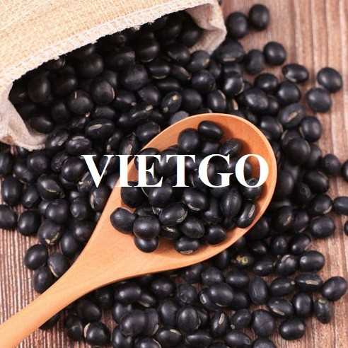 Cơ hội hợp tác xuất khẩu đậu đen sang thị trường Venezuela