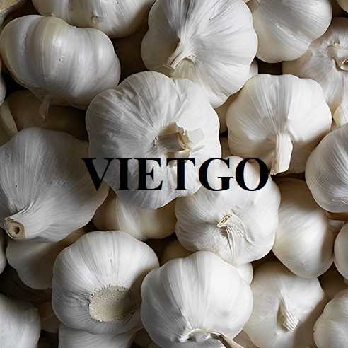 Cơ hội xuất khẩu tỏi đến thị trường Ấn Độ