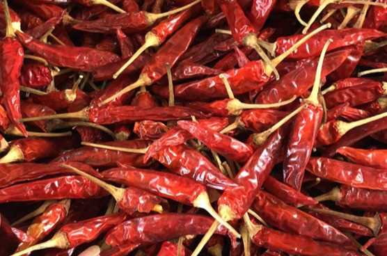 Cần tìm đơn vị vận tải vận chuyển mặt hàng ớt khô đi Sri Lanka