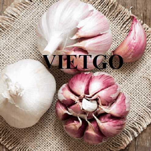 Cơ hội hợp tác xuất khẩu tỏi trắng sang thị trường Sri Lanka