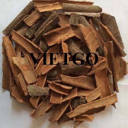 Cơ hội xuất khẩu sản phẩm quế vỡ sang thị trường Ấn Độ
