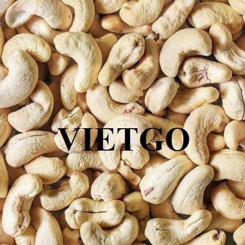 Cơ hội hợp tác xuất khẩu hạt điều đến thị trường Ai Cập