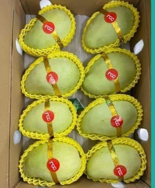 Cần tìm nhà cung cấp có kinh nghiệm đưa hàng nông sản đi Hàn Quốc