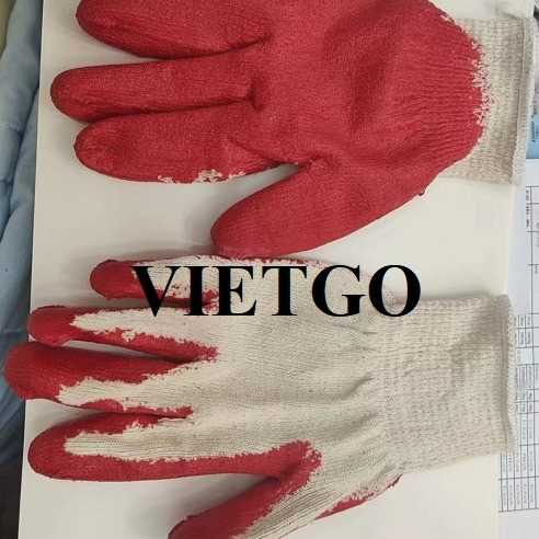 Cơ hội xuất khẩu găng tay lao động đến thị trường Hàn Quốc