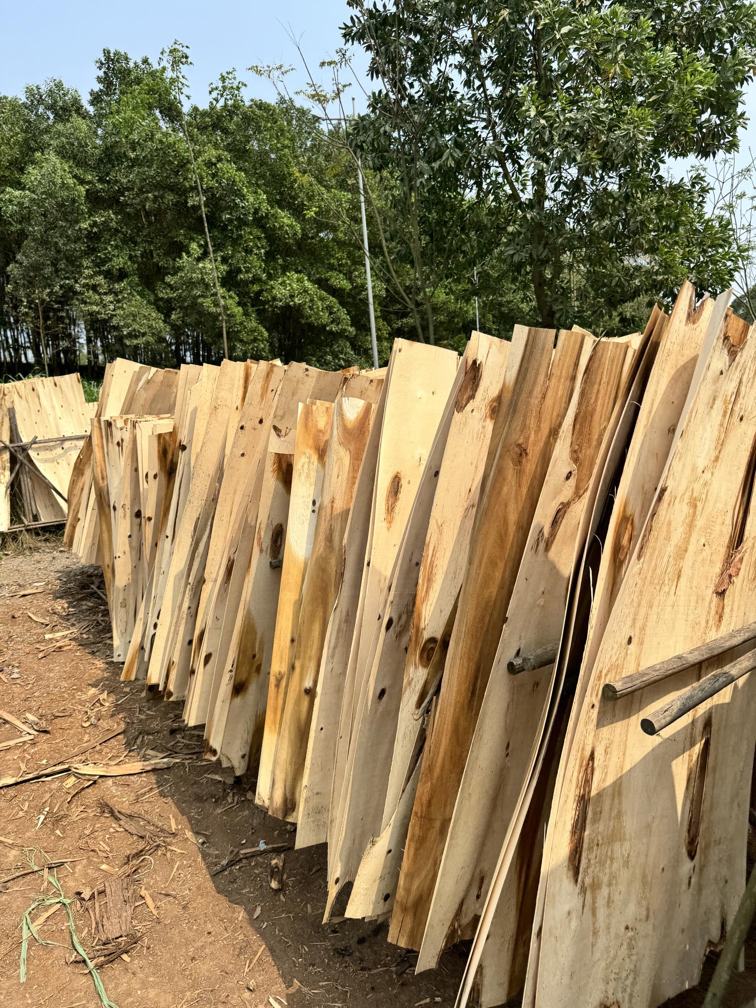 Cần tìm đơn vị vận tải vận chuyển mặt hàng  ván bóc tới cảng Mundra, Ấn Độ