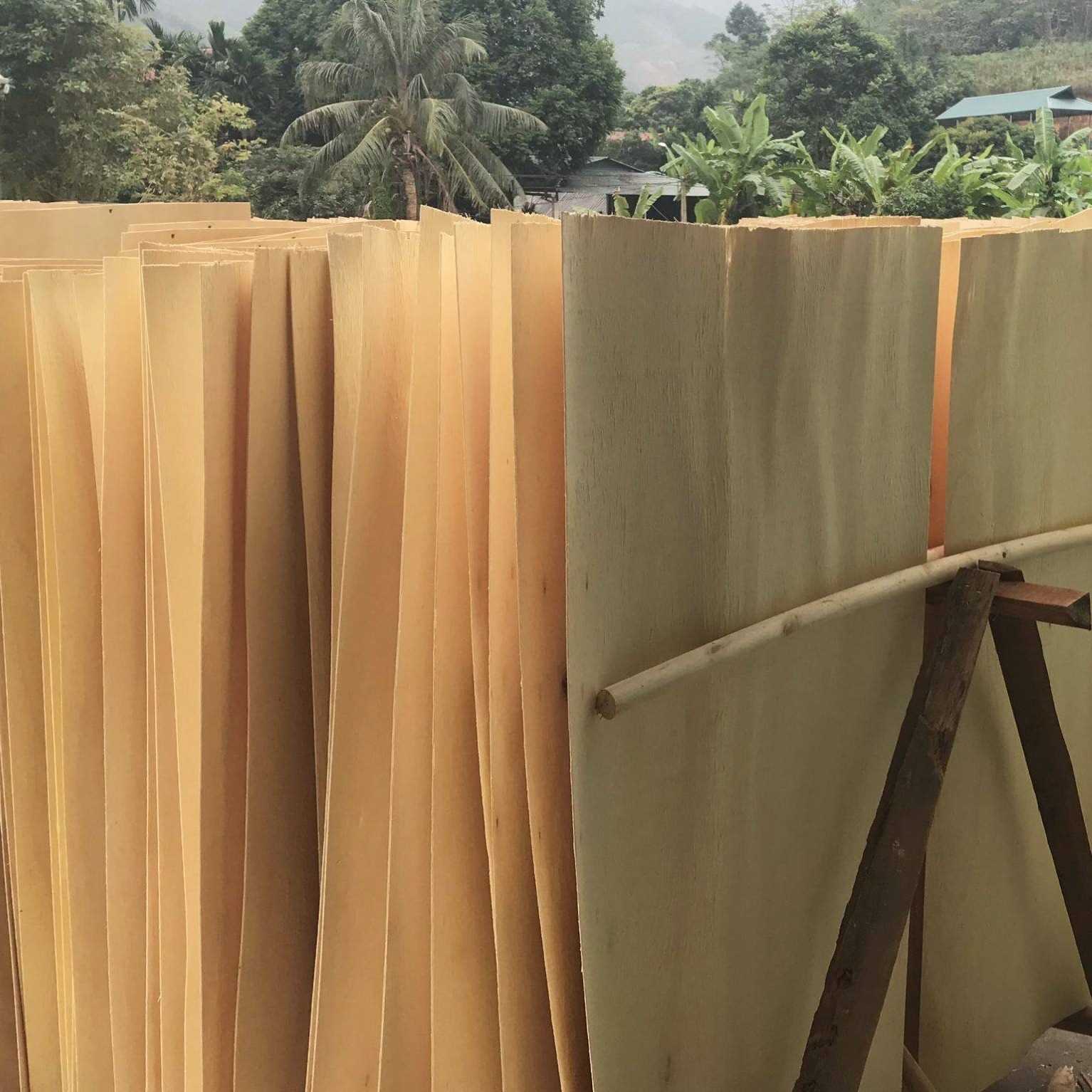 i need eucalyptus and acacia core veneer