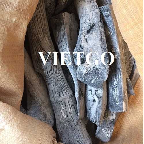 Cơ hội xuất khẩu than củi trắng sang thị trường Mỹ